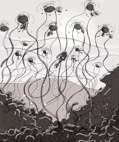 Cuento – Kairi y las buceadoras japonesas